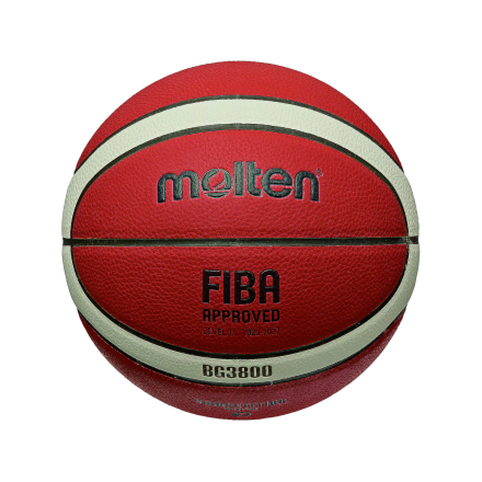Molten BG3800 Composite Leather Basketball