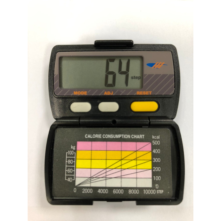 York 5 Function Pedometer